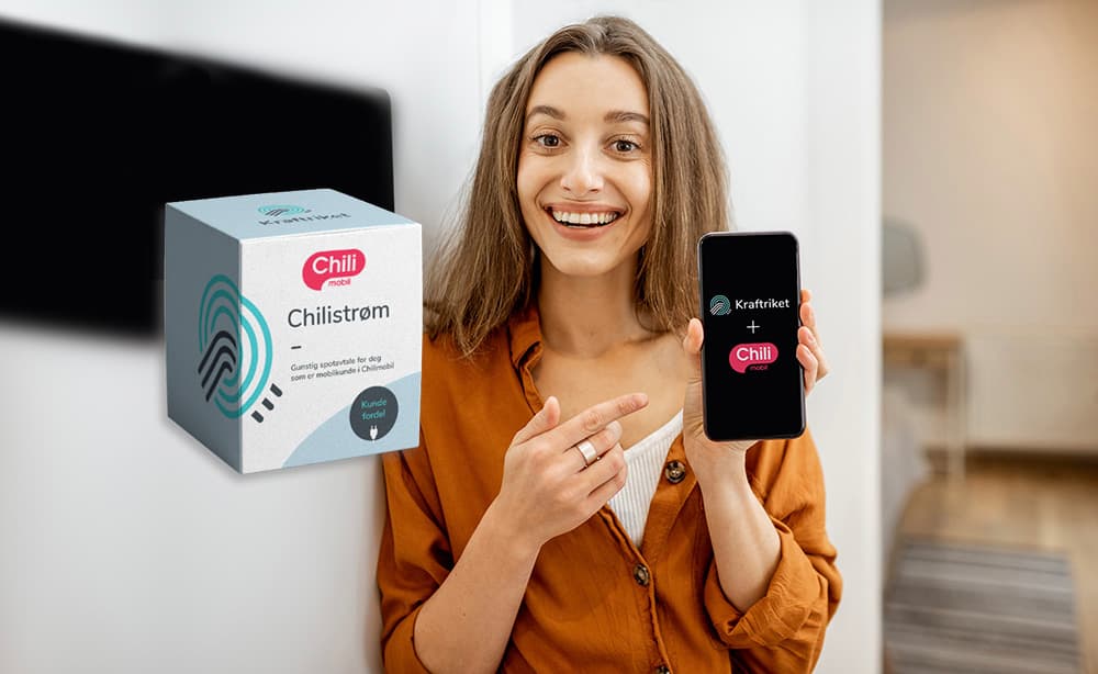 Mobilabonnement