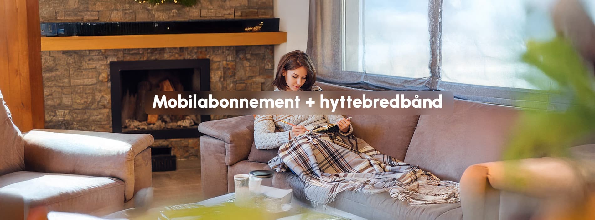 Mobilabonnement